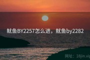 鱿鱼BY2257怎么进，鱿鱼by2282