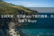 全网笑疯：向日葵app下载的趣事，向日葵下载qpp