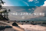 探花成了明星八卦的焦点，探花要改行