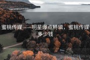 蜜桃传媒——明星爆点特辑，蜜桃传媒多少钱